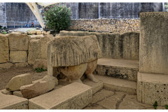 20241003-2b-Hal-Tarxien_19_new