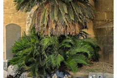 20241003-2c-All-Souls_3_new