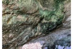 20241003-3-Ghar-Dalam_9_new