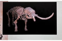 20241003-3-Ghar-Dalam_new