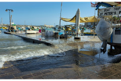 20241003-7-Marsaxlokk
