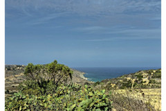 20241004-3a-Gozo-Tal-Mixta_5_new