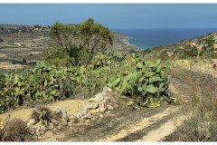 20241004-3a-Gozo-Tal-Mixta_6