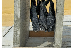 20241004-4-Gozo-Ggantija_29_new