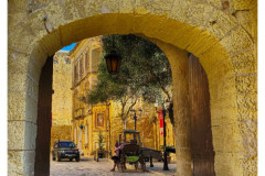 20241005-1-MdinaRabat_4_Nik_HDR_DxO-2