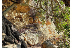 20241006-1b-Xemxija-Heritage-Trail_32