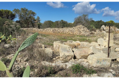 20241006-1b-Xemxija-Heritage-Trail_36