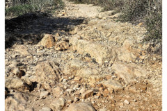 20241006-1b-Xemxija-Heritage-Trail_4_DxO