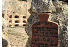 20241006-1b-Xemxija-Heritage-Trail_9_DxO