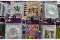 20241007-1-Valetta_27