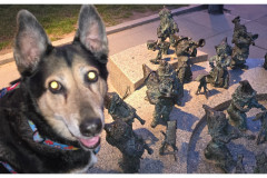 20250327-3-Wroclaw-spacerkiem_2-small