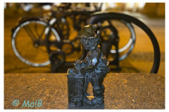 20250327-3-Wroclaw-spacerkiem_38-kdr-small