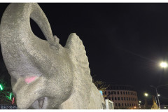 20250327-3-Wroclaw-spacerkiem_59-small