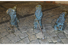 20250327-3-Wroclaw-spacerkiem_7-small