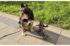 20250328-1-Wroclaw_3-small