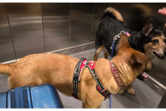 20250328-1-Wroclaw_8-small