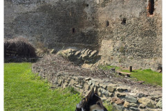 20250328-2-Bolkow_21-small