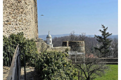 20250328-2-Bolkow_41_new-small