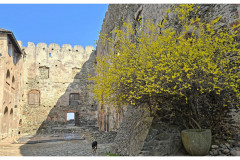 20250328-2-Bolkow_9_new-small