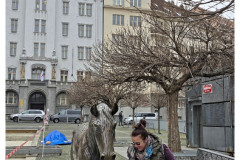 20250329-1-Praha_5_new-small