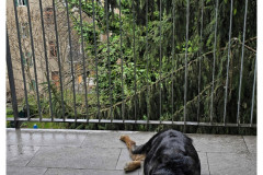 20250330-1-Graz_15_new-small