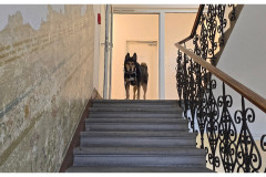 20250330-1-Graz_7_new-small