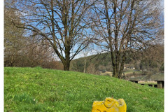 20250330-2-dzies-po-drodze-w-AT_2-small