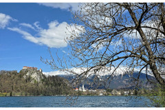 20250330-3-Bled-SLO_10_new-small 20250330-3-Bled-SLO_10_new-small