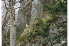 20250330-3-Bled-SLO_42-small