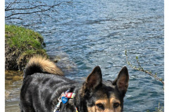 20250330-3-Bled-SLO_8_new-small