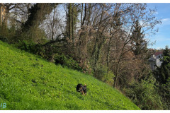 20250331-1-Zagreb-kdr-small