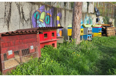 20250331-1-Zagreb_12-small