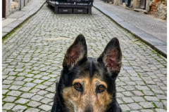 20250331-1-Zagreb_27_new-small