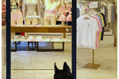 20250331-1-Zagreb_50_new-small