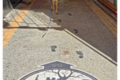 20250331-1-Zagreb_53_new-small