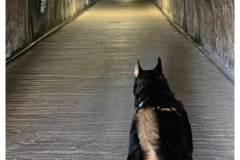 20250331-1-Zagreb_57_new-small