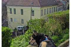 20250331-1-Zagreb_7_new-small