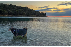 20250331_192706-small