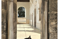 20250401-2-Pula_31_new-small