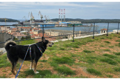 20250401-2-Pula_56-small