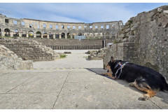 20250401-2-Pula_67-small