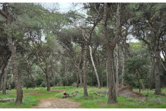 20250401-Pula-Veruda-plaza-small