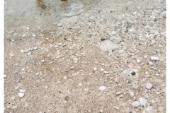 20250401-Pula-Veruda-plaza_10-small