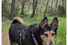 20250401-Pula-Veruda-plaza_3-small