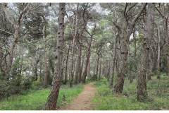 20250401-Pula-Veruda-plaza_5_new-small