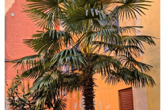 20250402-3-Piran-SLO_18_new-small