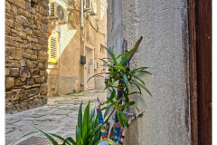 20250402-3-Piran-SLO_38_new-small