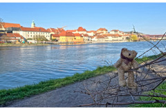 20250403-2-Maribor-SLO_13_new-small