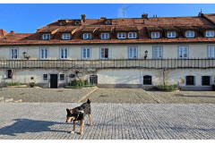 20250404-1-Maribor-SLO_5_new-small