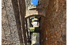 20250404-2-Ptuj-SLO_16_new-small